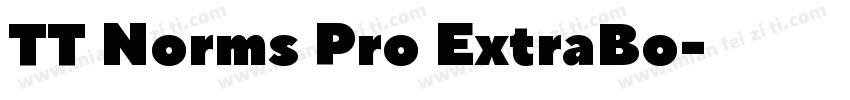 TT Norms Pro ExtraBo字体转换